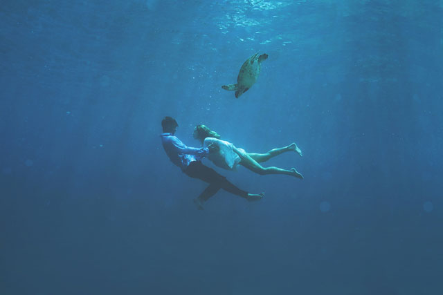 Maui-Underwater-Photographers-10