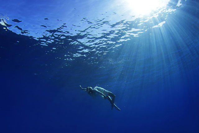 Maui-Underwater-Photographers-20