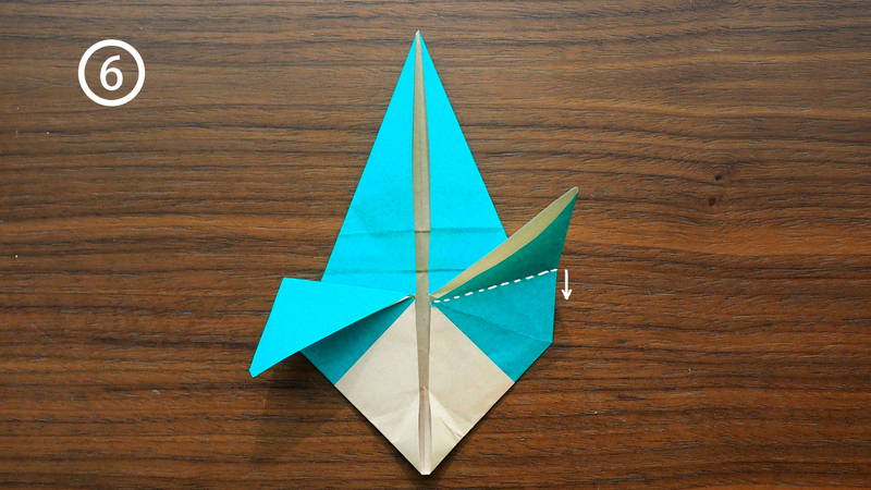 parrot-6-2