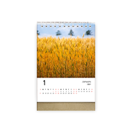 Desk Calendar-S, Double-sided